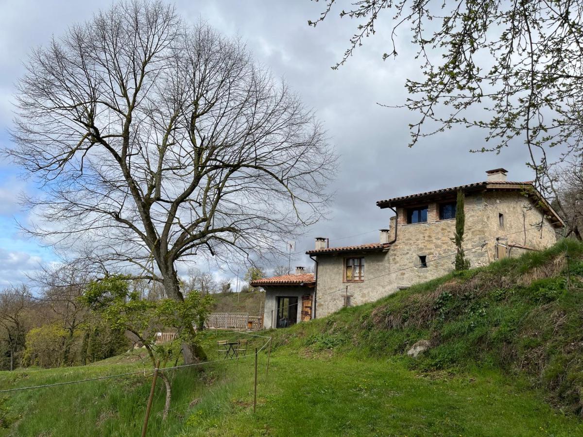 Can Poca Roba Sant Pere de Torello Ngoại thất bức ảnh